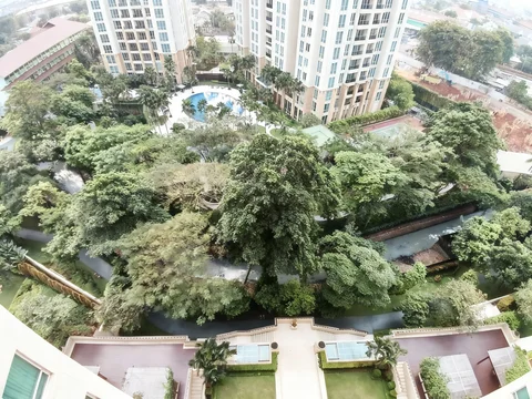 Pakubuwono Residence Tower Sandalwood Lantai 11