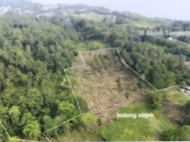 Dijual Tanah Kavling Molas, Manado 1.241.994 m2