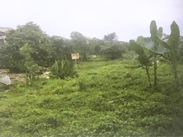 Tanah Kavling Dijual Warung Buncit 25.651 m2