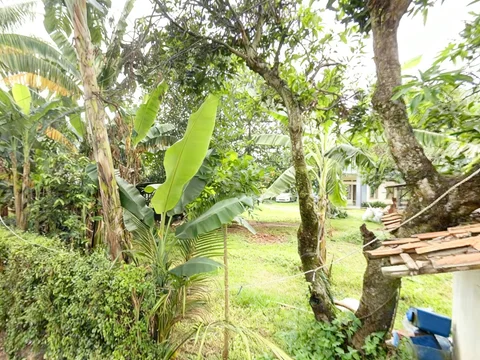 Tanah Cinere Depok