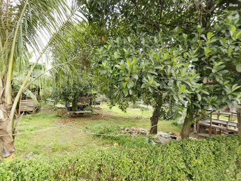 Tanah Cinere Depok
