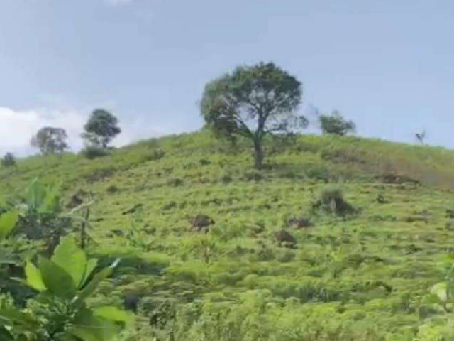 992.800 m2 Plot of Land at Sentul, Bogor