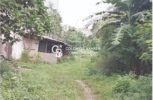 Tanah Disewakan Warung Jati 7.000 m2
